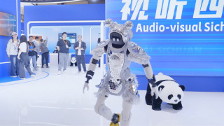 99久久久久国产精品免费
